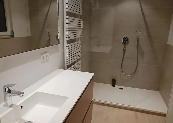 Betsy Met Direct Zeezicht Οστένδη